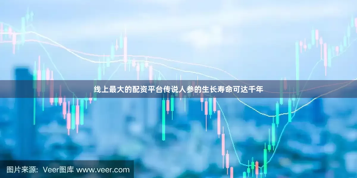 线上最大的配资平台传说人参的生长寿命可达千年