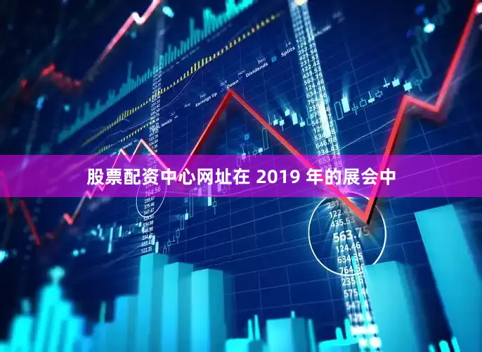 股票配资中心网址在 2019 年的展会中